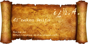 Énekes Anita névjegykártya